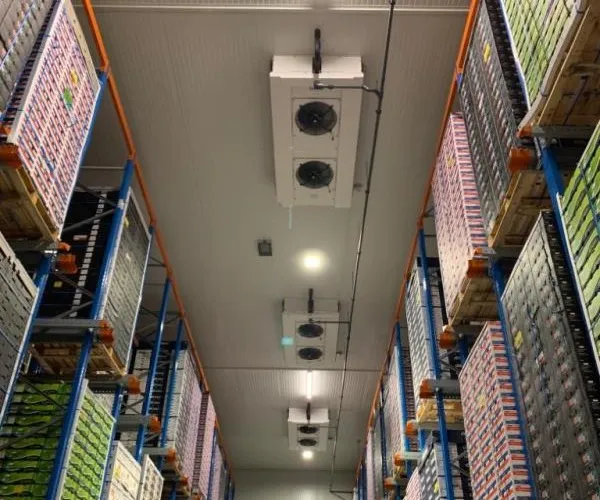 SRZKT verdampers in koelcel